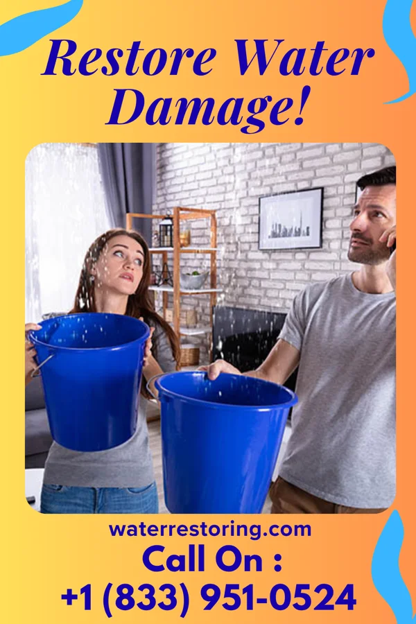 water restoration National Disaster Recovery Force Brookhaven