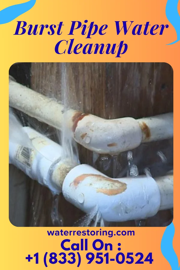 Burst Pipe Water Cleanup in Brookhaven, PA