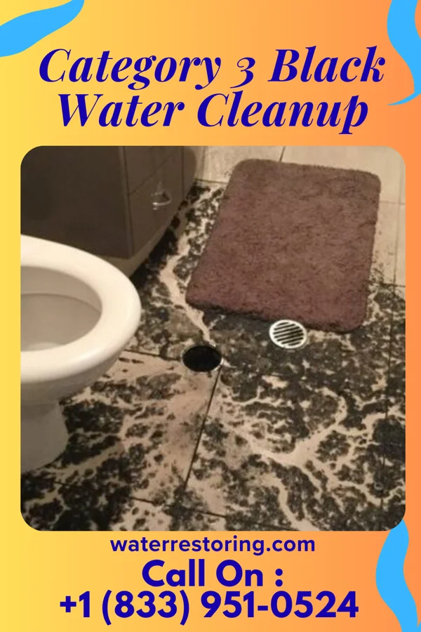 Category 3 Black Water Cleanup in Brookhaven, PA