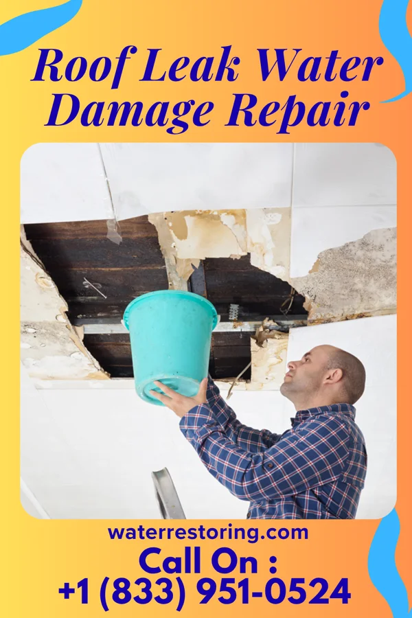 Roof Leak Water Damage Repair in Brookhaven, PA