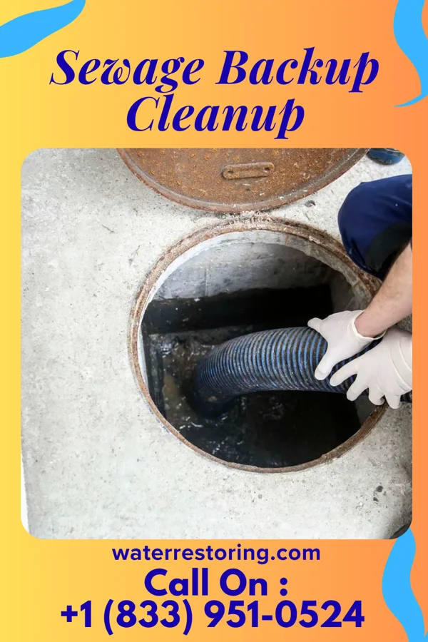 Sewage Backup Cleanup in Brookhaven, PA