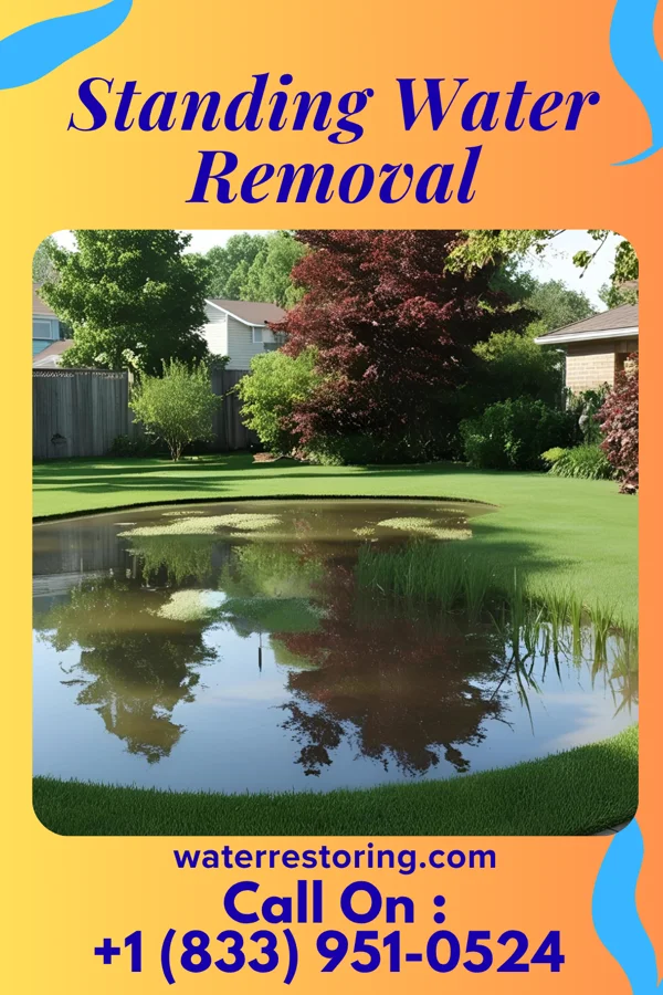 Standing Water Removal in Brookhaven, PA